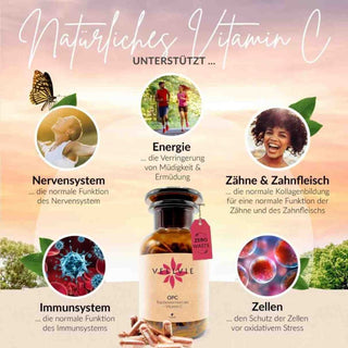 OPC + Natürliches Vitamin C