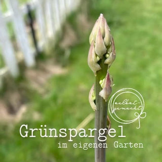 Grünspargel – das beliebte Gemüse im eigenen Garten anbauen - VELLVIE