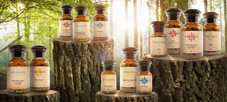 ALLE PRODUKTE