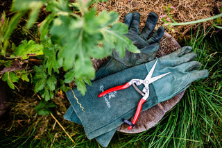 gartenwerkzeug selbstversorgung