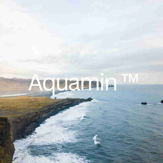 Magnesium 3-fach Komplex mit Aquamin