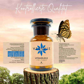 Vitamin B12+ B6 + Folsäure