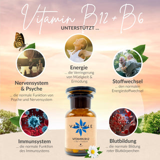 Vitamin B12+ B6 + Folsäure