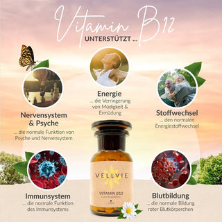 Vellvie Vitamin B12 Lutschtabletten 500mcg 1000mcg vegan nachhaltig plastikfrei zero waste methyl adonsyl  Apothekerglas