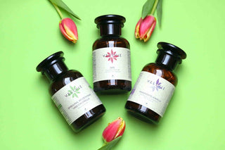 Vorteils-Set Mariendistel + OPC + Superfood Mix - VELLVIE