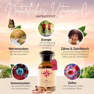 Vorteils-Set Mariendistel + OPC + Superfood Mix - VELLVIE